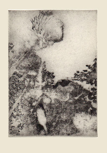 Looking up through poppies