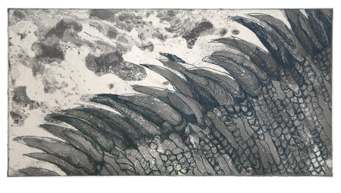 created at Crown Point Press summer workshop after sailing to the Galapagos islands 