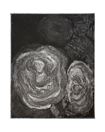 Echoes of flora and sea creatures 