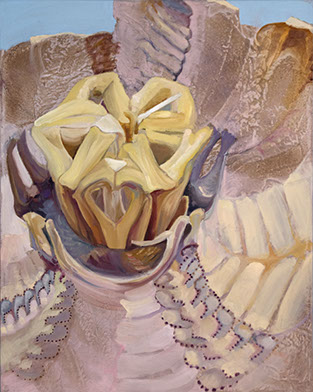 the center of an urchin gave Aristotle pause ...