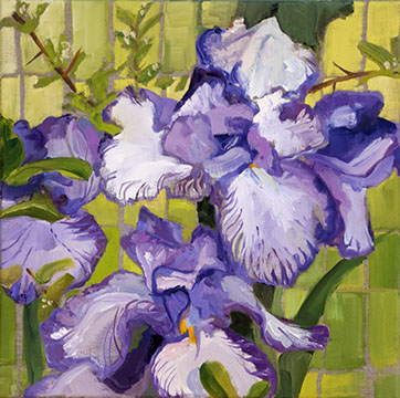 dramatic iris caught next to a fence in a master gardener outpost in Tewksbury Township, NJ