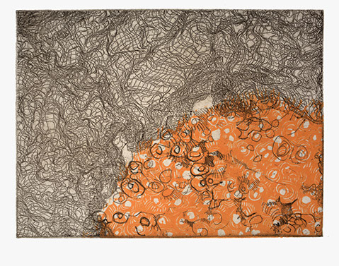 a nod to all of the sea creatures caught in destructive fishing practices