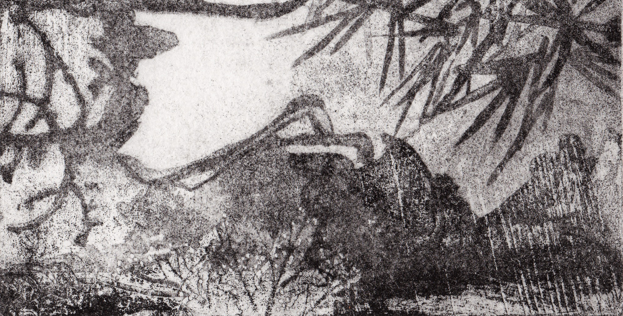 Etching by Ahni Kruger