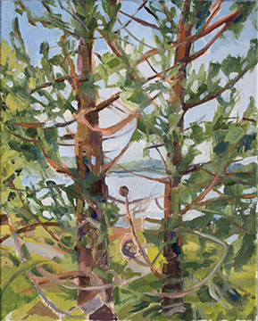 upstairs at the Campbell/Finkelstein studio on Great Cranberry Island, Maine