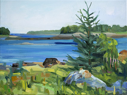 my constant companion on Great Cranberry Island, Maine found a few nice meals in the blueberry fields ...