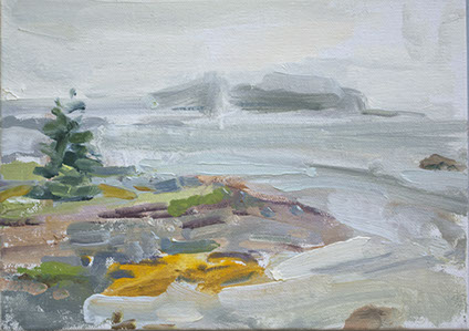 looking down from the house at Long Point, Great Cranberry Island, Maine