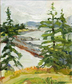 too wet to go outside on Long Point, Great Cranberry Island, Maine