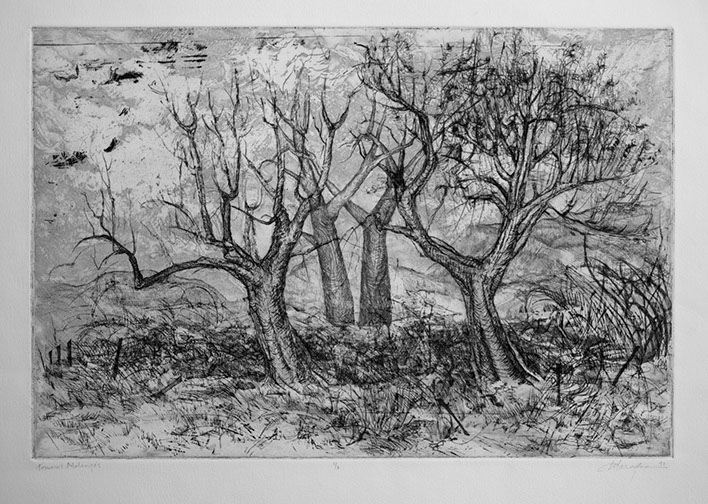 Etching by Ahni Kruger exploring the theme of remembered experience